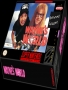 Nintendo  NES&nbsp; - &nbsp;Wayne's World (USA)